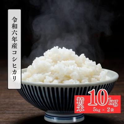ふるさと納税 福島市 大文字屋米穀店【令和7年産新米 先行受付】コシヒカリ精米 10kg(5kg×2)No.2381