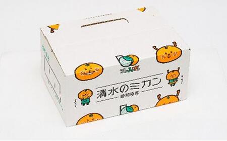 【2025年11月中旬より順次発送】秋の味覚　果汁たっぷり　早生みかん3kg★★