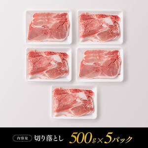 豚肉 宮崎県産豚肉小野さんちの豚肉切り落とし2.5kg