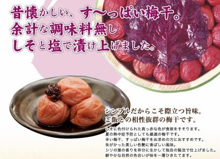 しそ漬梅 (1kg×1箱）【Kn4】