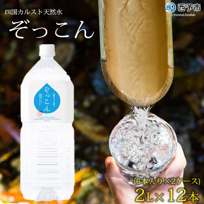 ＜四国カルスト天然水ぞっこん 2L(6本入り)×2ケース 計12本＞ 飲料 水 みず 中硬水 弱アルカリイオン水 ペットボトル ウォーター バナジウム 備蓄 防災 キャンプ アウトドア 国産 特産品 