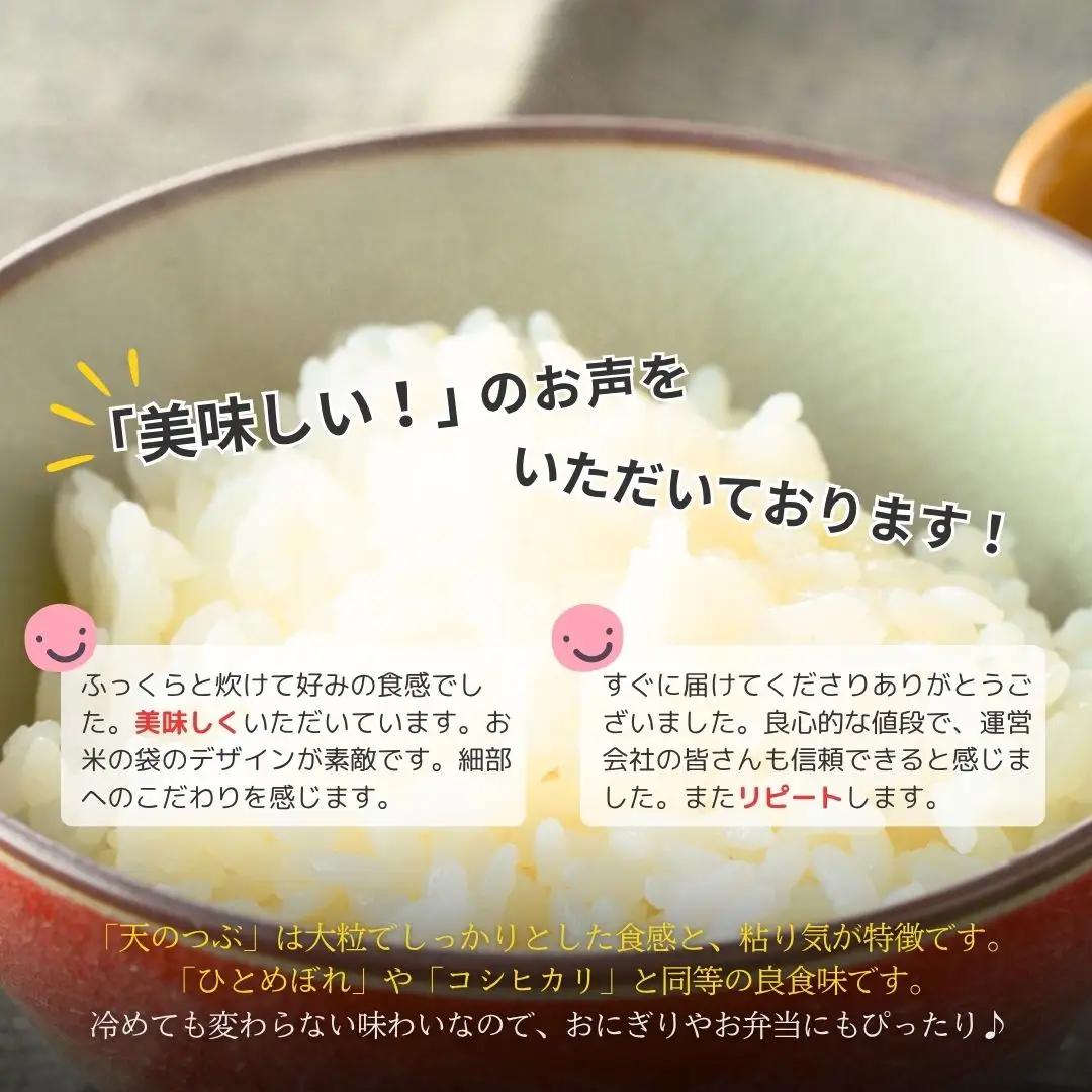 パックごはん パックご飯 天のつぶ 48食 令和7年産 | 備蓄 保存食 常温 紅梅夢ファーム