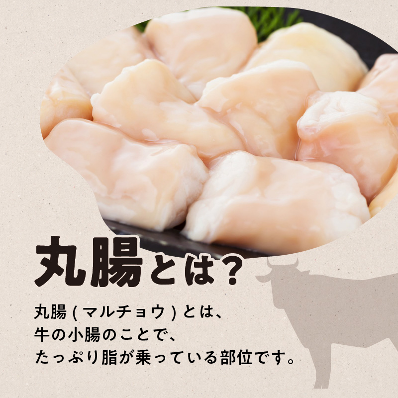 黒毛和牛丸腸（ホルモン）300g入り×2パック　K130-001_cp