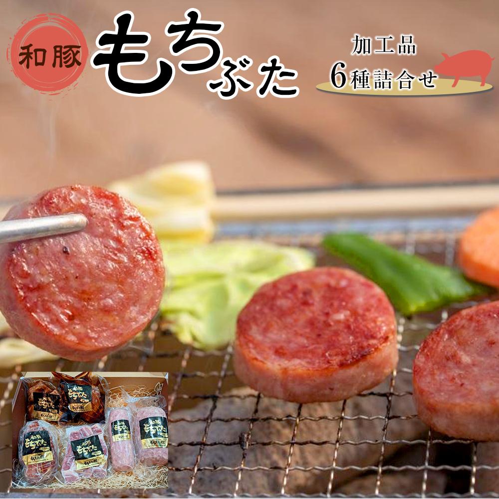 【ふるさと納税】豚肉 加工品 6種 詰め合わせ | 和豚 もち豚 肉 お肉 にく 豚 ぶた ボンレスハム ベーコン ボロニア ソーセージ サラミ 煮豚 角煮 食べ比べ セット 人気 おすすめ 食品 お取り寄せ グルメ ギフト