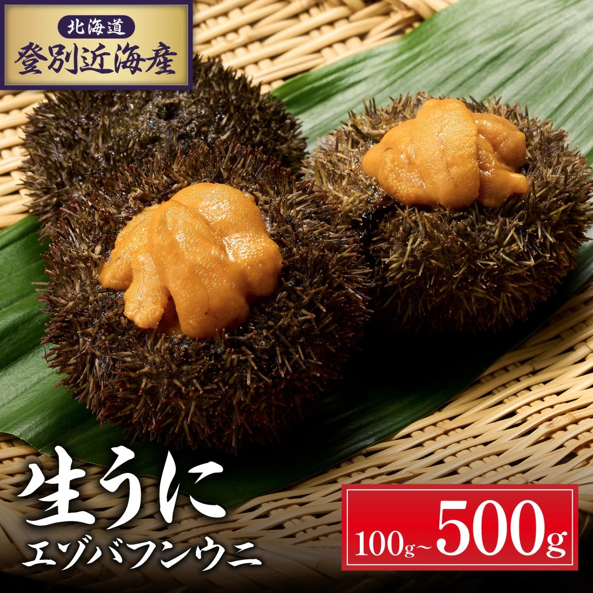 北海道 登別近海産 極上エゾバフンウニ パック詰 500g ※2025年6月より発送 [mh-0767]
