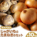 【ふるさと納税】じゃがいも（キタアカリ）とたまねぎのセット 合計約10kg 北あかり 野菜 《10月中旬から順次出荷》橋枝物産 北海道 浦幌町