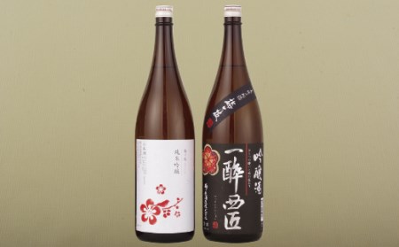 【 日本酒 】純米吟醸 ･ 吟醸酒  呑み比べ  酒 C111b