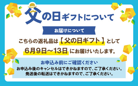 U24-13R02 【父の日ギフト】 げんき畑 ピザ 2枚セット＜赤のマルゲリータ＆窯焼きチーズピザ＞ 【GNKB】 【fukuchi00】 　【fukuchi00】  【fathR01】 