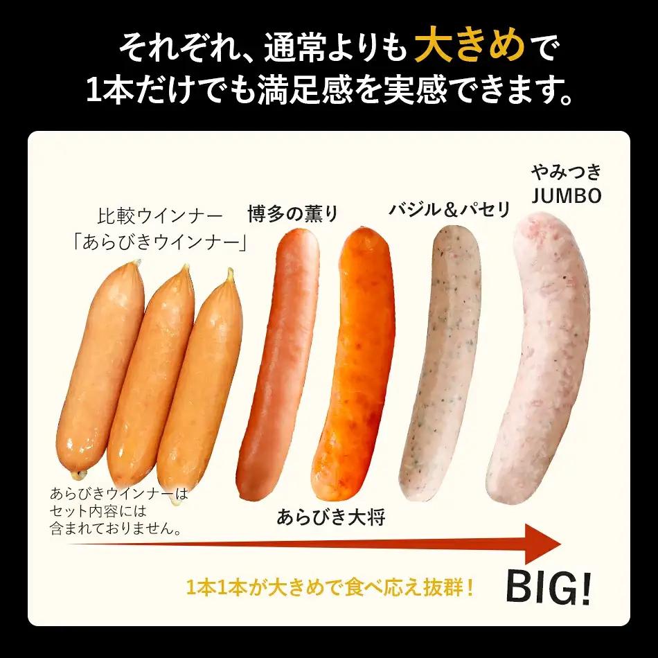 訳あり ソーセージ福袋 ウインナー 5種セット 合計4.5kg ソーセージ