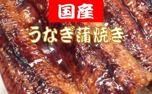 国産 うなぎ蒲焼き 300g ２匹 海鮮 | TR0019