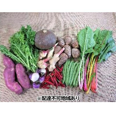 【ふるさと納税】旬の野菜【M】セット【配達不可：北海道・沖縄・離島】 詰合せ