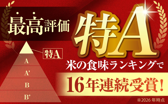【全12回定期便】 さがびより 無洗米 3kg（3kg×1袋）【五つ星お米マイスター厳選】 特A米 特A評価 [HBL097]