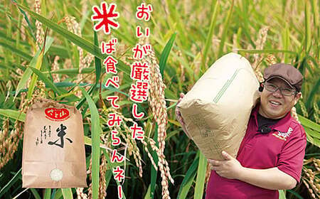 【先行予約】令和7年産 佐賀市 三瀬村産「コシヒカリ」5kg 白米 数量限定 希少米 三瀬高原のお米 おにぎり 冷めても美味しい こめ コメ 旬菜舎さと山：B170-025