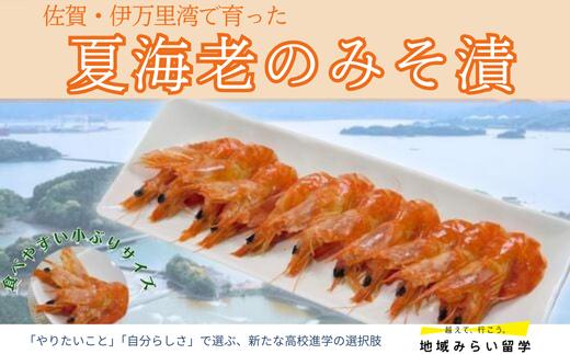 
【佐賀県伊万里産｜夏海老のみそ漬】海老250g/みそ200g
