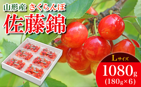 さくらんぼ 佐藤錦 Ｌ 1080g (180g×6パック) 【令和8年産先行予約】FS25-532
