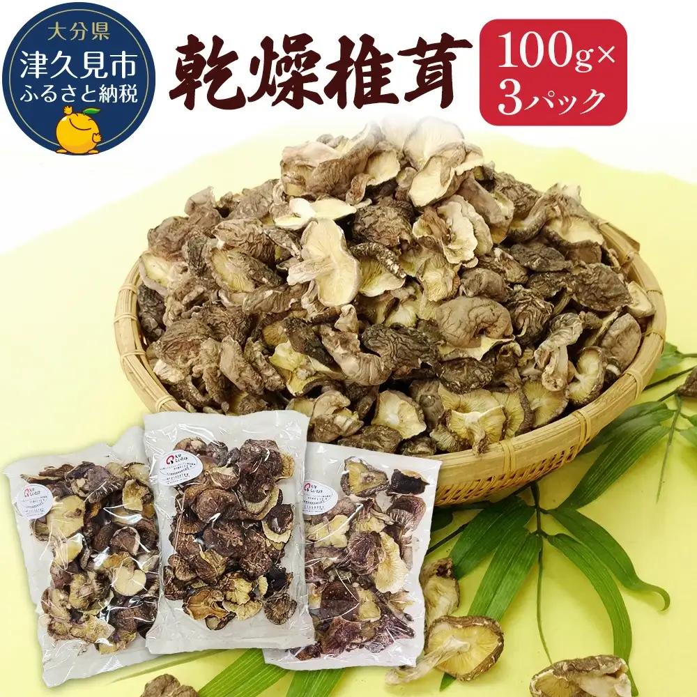 乾燥椎茸 訳あり 椎茸100g×3パック 乾しいたけ | 津久見市