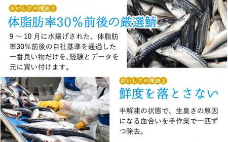 鯖味付缶詰 【本醸造醤油仕立て】 12缶 サバ缶 おつまみ 保存食 [B-003016] [BFAB014]