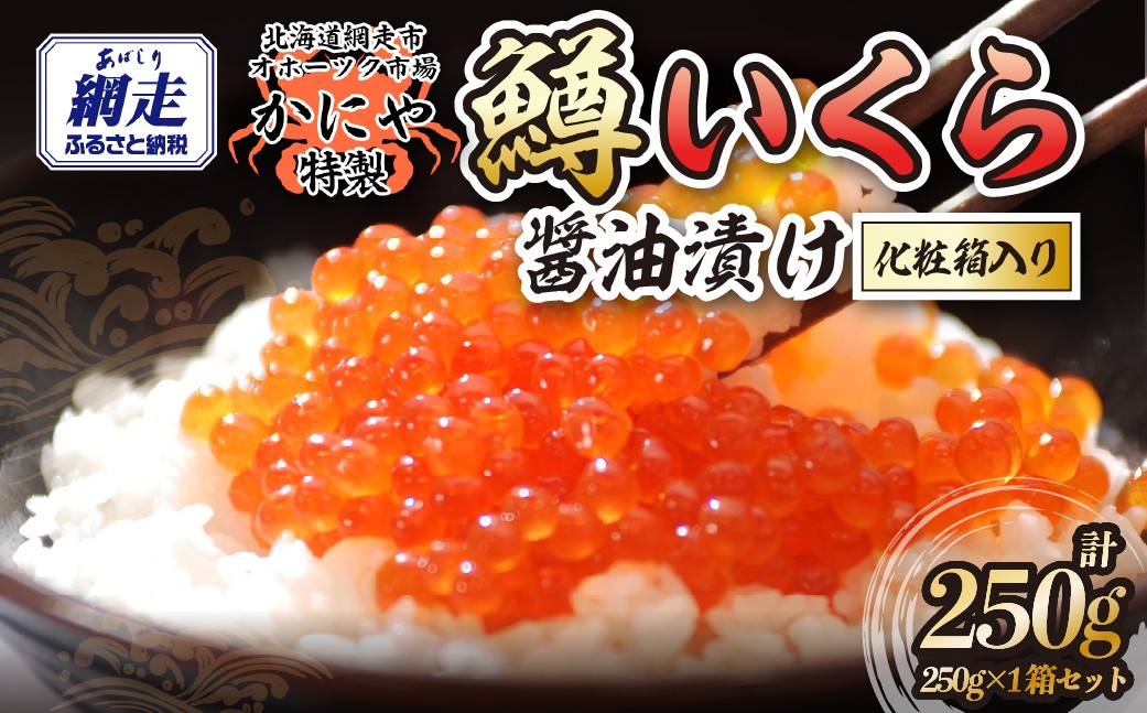 
                  特製鱒いくら醤油漬け１箱250g化粧箱入り 【 ふるさと納税 人気 おすすめ ランキング いくら 鱒いくら 鱒イクラ ますいくら ますイクラ ます マス マスイクラ 醤油漬 いくら醤油 いくら醤油漬け ギフト 贈答 贈り物 冷凍 新鮮 セット かにや オホーツク 北海道 網走市 送料無料 】 ABAO120
                