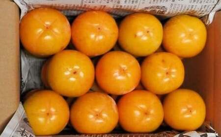 【先行予約】みしらず柿 (2Lサイズ) 7.5kg詰め F4D-0208