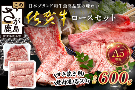 佐賀牛ロースセット（すき焼き用300g/焼肉用300g）合計600g 牛肉 ブランド牛 黒毛 和牛 D-292