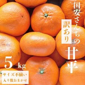 【愛媛が誇る 高級みかん 希少品種】訳あり 甘平 (かんぺい) 5kg【F20-59】【1620338】
