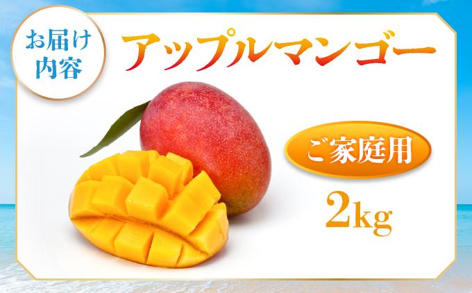 ＜先行予約・数量限定＞アップルマンゴー ご家庭用（2kg）|マンゴー 限定 家庭用 訳あり 沖縄県 南城市 2kg 冷蔵 予約 先行受付 アップルマンゴー 送料無料　KM006 ご家庭用（2kg）