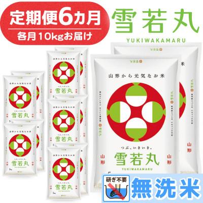 ふるさと納税 鶴岡市 【毎月定期便】山形県産 雪若丸 無洗米 10kg全6回