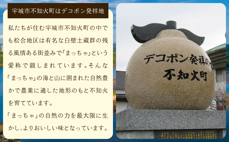 先行予約 不知火 しらぬい 柑橘 みかん ミカン 蜜柑 5kg 約15〜20玉 果物 くだもの フルーツ 九州産 熊本県産 宇城市産 国産 雑誌 MORE 掲載商品 松川果樹園 2026年3月上旬から