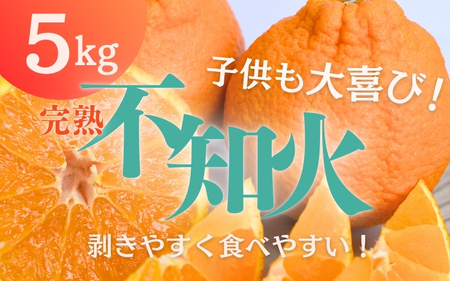 不知火 たにぐち農園の 完熟不知火 5kg 【2025年2月中旬から3月下旬までに順次発送】 / 不知火 デコポン みかん フルーツ 果物 くだもの【mtn011A】