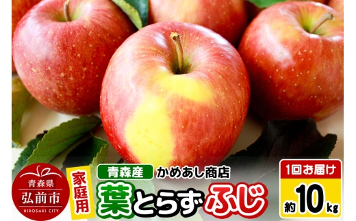 【寄附金額見直しました】【25年12月～発送】りんご 葉とらず ふじ【家庭用】約10kg ゴールド農園