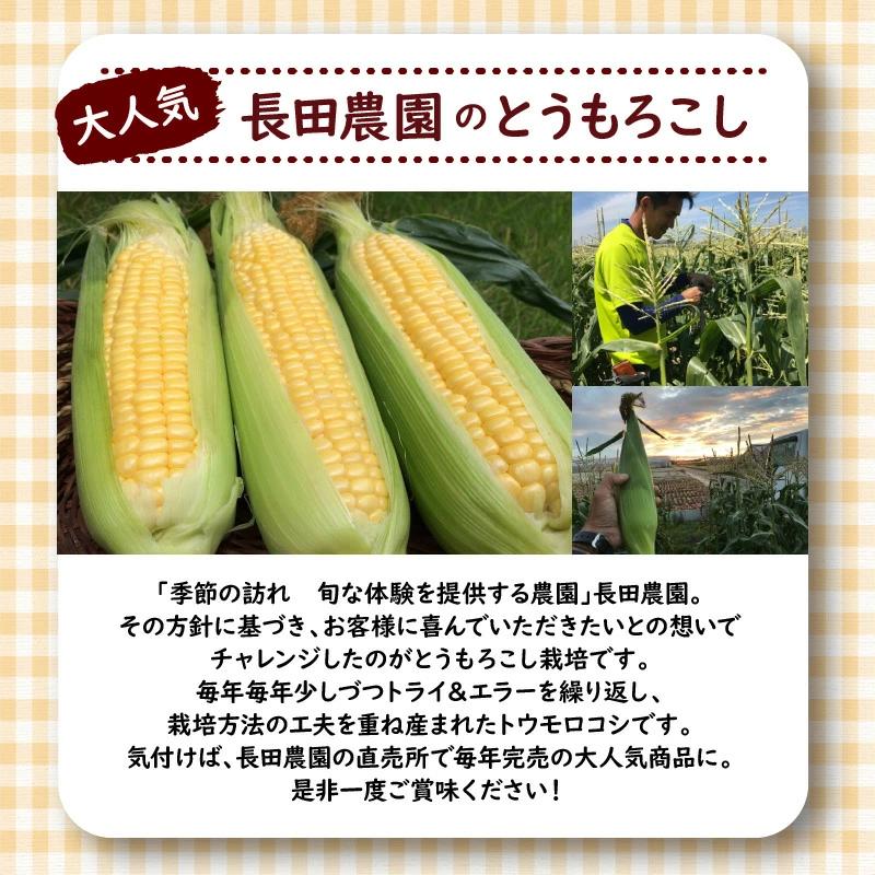 【2026年度予約分】あま～いトウモロコシ＆トマトベリー　長田農園しかできない夢の共演 【個数限定】 野菜ソムリエサミット 金賞 受賞 長田農園 産地直送 トマト とまと 野菜 やさい フルーツ サラ