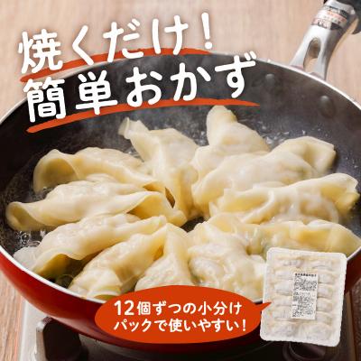 ふるさと納税 鹿児島市 国産素材にこだわった黒豚餃子120個　K111-015 |  | 01