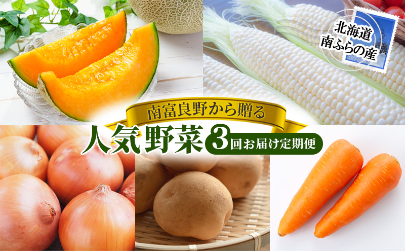 2026年発送 南富良野から贈る 人気野菜 3回お届け定期便 北海道 ふらの 南富良野 メロン とうもろこし じゃがいも 人参 玉ねぎ
