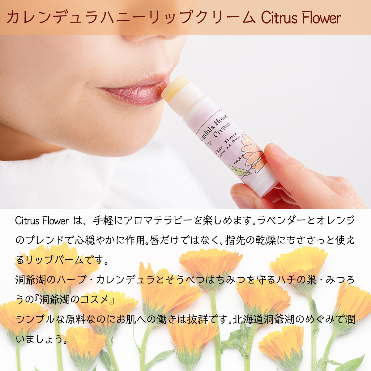 北海道アカシアはちみつ200gと洞爺湖ハーブリップ1本（Citrus Flower）のセット SBTX006-2