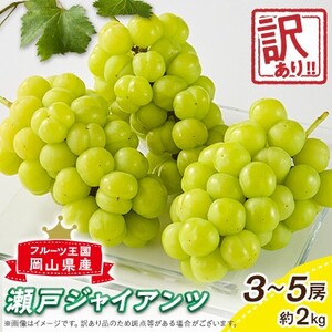 【訳あり】朝採り新鮮!人気ぶどう瀬戸ジャイアンツ2kg【配送不可地域：離島】【1647783】
