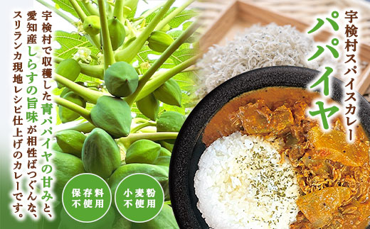宇検村 スパイスカレー 車海老&パパイヤ 各5食  (10食セット)  本格 レトルト カレー パパイヤ 宇検村 鹿児島