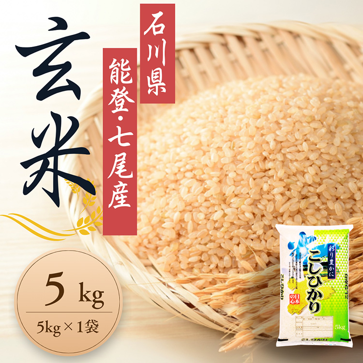【発送時期が選べる】石川県能登産こしひかり玄米5kg（5kg×1個） / 米 玄米 5kg 日本初！世界農業遺産認定「能登の里山里海」の恵み ｜石川県 七尾市 能登 ※2025年10月下旬～2026年3月下旬頃に順次発送予定