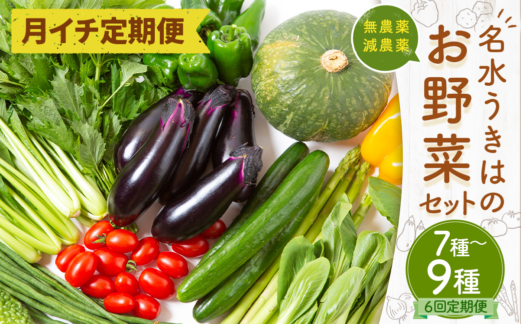 【月イチ定期便】UIC 名水うきはのお野菜セット (ひと月1箱×半年間=計6回)