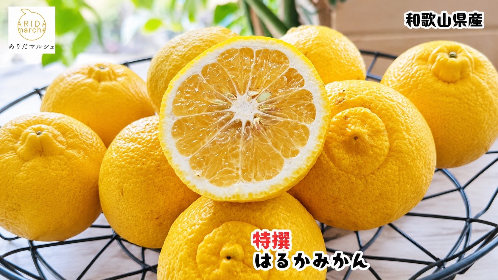 
                  【人気柑橘】 特選 はるか みかん 5kg+200g(傷み補償分)【ard019-p-5B】
                