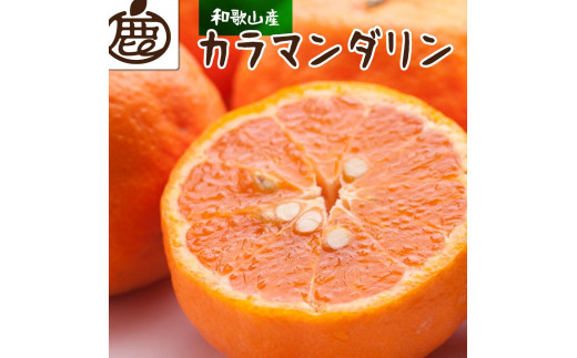 
                  ［先行予約］厳選 カラマンダリン2.5kg+250g（傷み補償分）［南津海・なつみ］［希少な春柑橘］［みかんと同じように食べられます］［IKE66］
                