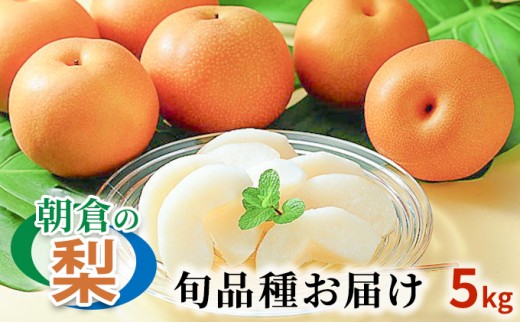 
梨 季節の朝倉の梨 5kg 6-18玉 配送不可 離島
