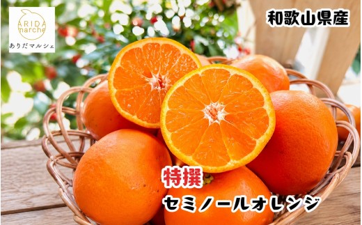 特選 セミノールオレンジ 5kg+200g(補償分)　【2027年4月上旬～5月下旬頃に順次発送予定】【ard265】