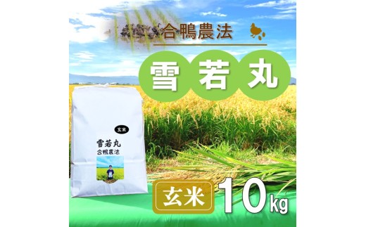 【令和7年産・玄米】ecofarmすがわらの合鴨農法雪若丸10kg