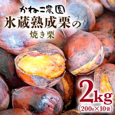 ふるさと納税 笠間市 【2026年秋　先行予約】笠間の栗・かねこ農園の焼き栗　200g×10袋