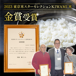 定期便 6回 夢ごこち 5kg 農家自慢のお米 ( 6ヶ月 夢ごこち 令和5年産 夢ごこち 金賞受賞米 夢ごこち 金賞受賞農家 夢ごこち 新米 夢ごこち 白米 夢ごこち 精米 夢ごこち お米 夢ごこち