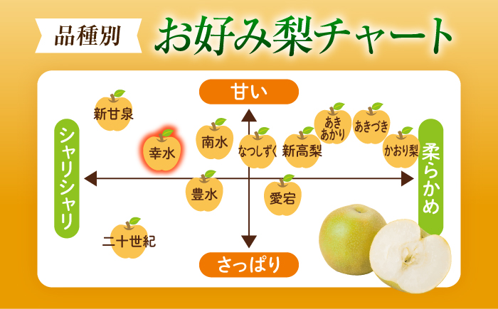 【先行予約】幸水梨(こうすいなし) 8〜10玉入り 〈2026年8月〜発送〉 ／ フルーツ 果物 くだもの 食品 人気 おすすめ 送料無料 梨 なし 幸水梨 梨 季節のフルーツ　／　株式会社内子フレッ