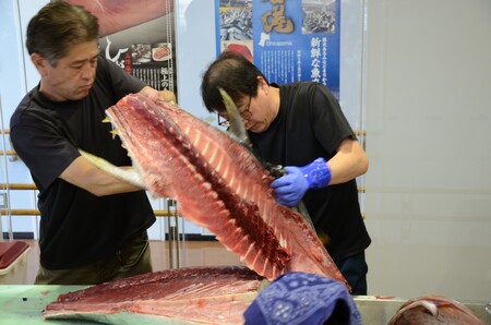 塩竈産マグロ解体体験！丸ごと1本食べつくそう！ ｜ gt00001 塩竈市 塩竈