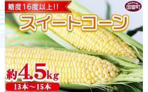 
            期間限定！＜宮崎県産 スイートコーン 約4.5kg＞2025年5月下旬～6月中旬迄に順次出荷【 先行予約 穀物 野菜 甘い 季節限定 とうもろこし おやつ ご飯 スープ サラダ BBQ 屋台 】
          