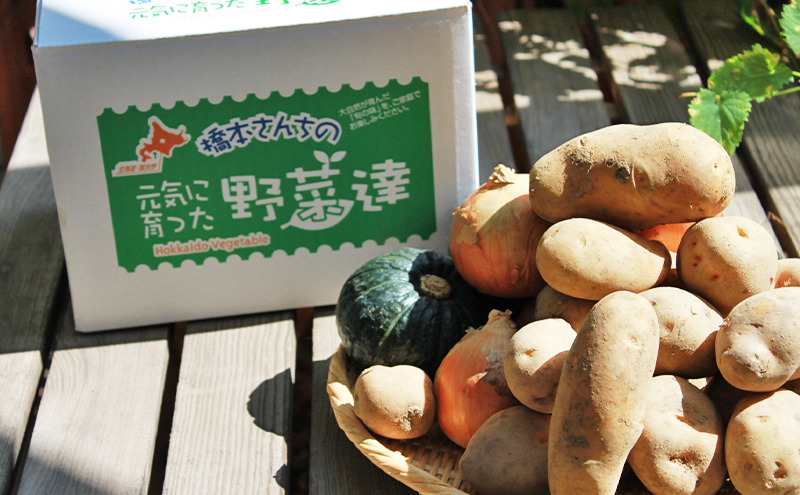 【2026年秋冬発送】富良野 野菜セット 5kg詰め 人参 かぼちゃ いも 玉ねぎ ごぼう ゆり根 米