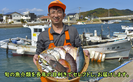 【年6回奇数月】お魚よかろうもん！玄界灘・福津の地魚お楽しみ定期便【冷凍】【随時開始】[G7015]